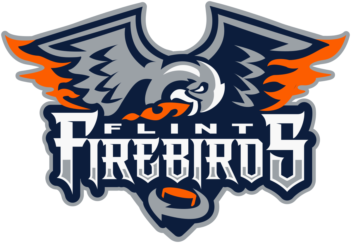 Flint Firebirds 